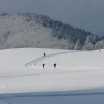 Astenpanorama *