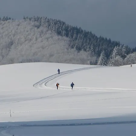 Astenpanorama *