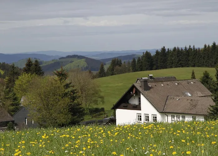 Astenpanorama Appartement Winterberg