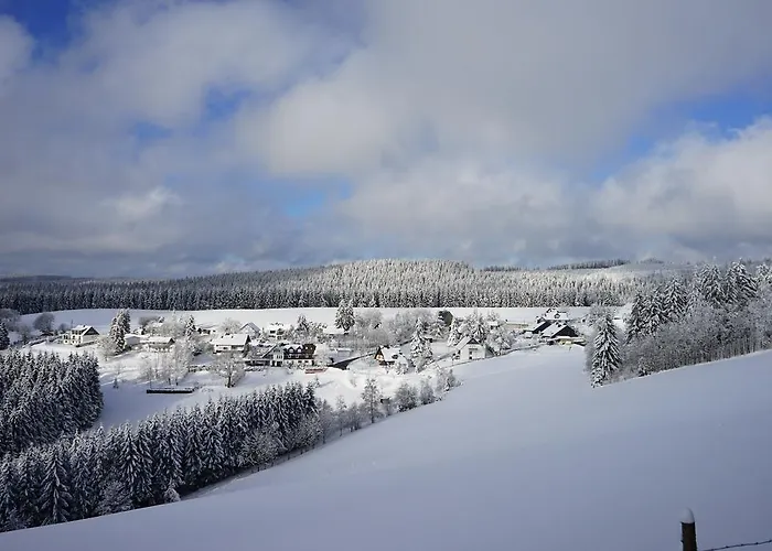 Astenpanorama Winterberg