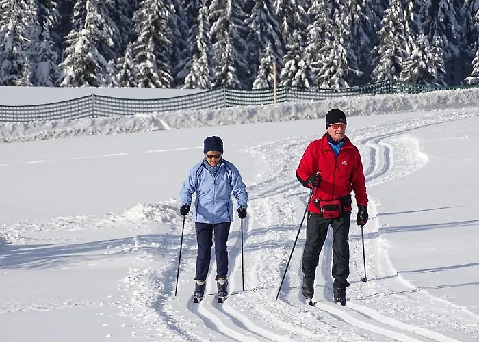 Appartement Astenpanorama *